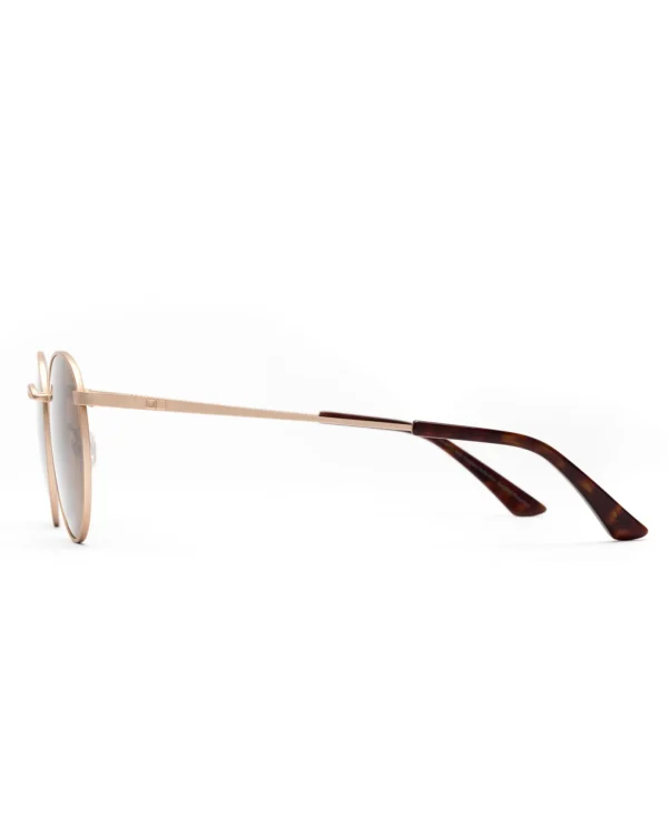 Sunglasses | Sunglasses*Outerknown Otis Eyewear Flint Brushedgoldbrownpolar
