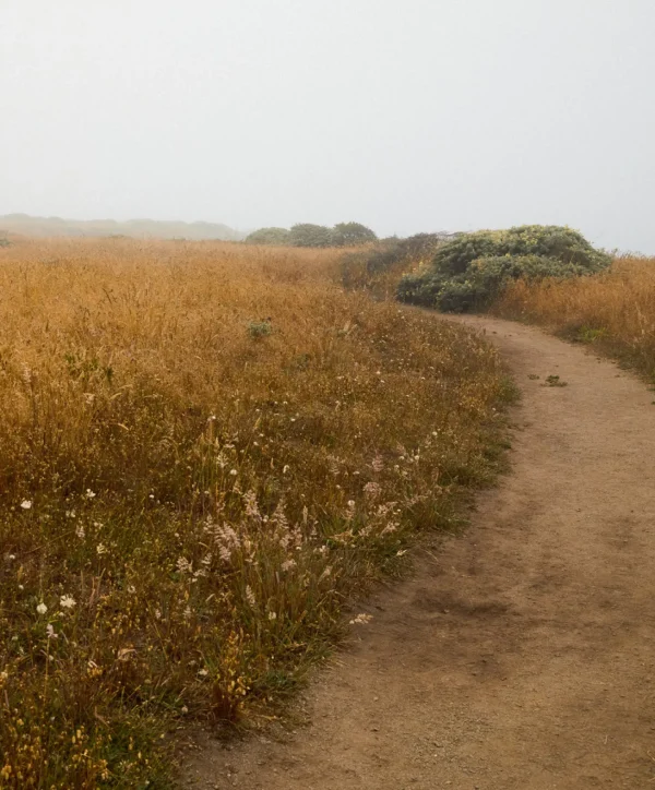 Tees + Tanks | Tees + Henleys*Outerknown Project Vermont Path to Totality Tee Brown